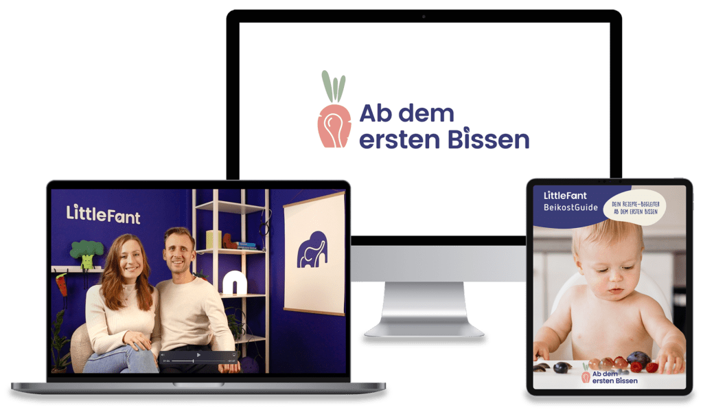 Mock-Ups des Online Beikost Kurses auf verschiedenen Geräten mit Video-Ansicht und praktischen Übersichten, die fundierte Informationen bieten.